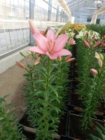 [4025 Termoli No01.JPG]